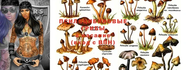 гашик Зеленодольск