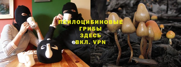 гашик Зеленодольск