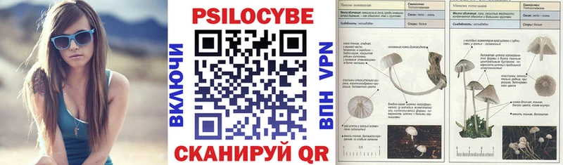 Купить  Ворсма  Псилоцибиновые грибы Psilocybine cubensis 